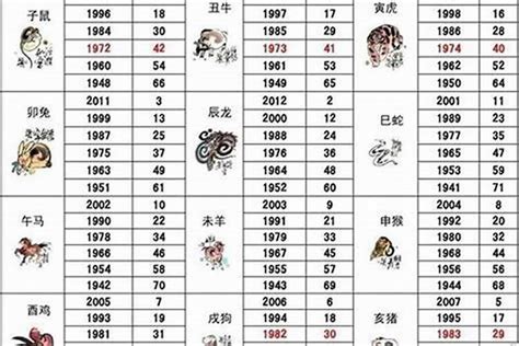 05年属|2005出生属什么生肖查询，2005多大年龄，2005今年几岁